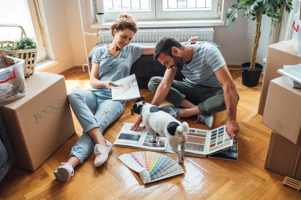 What's the Best and Safest Way to Move With Pets?