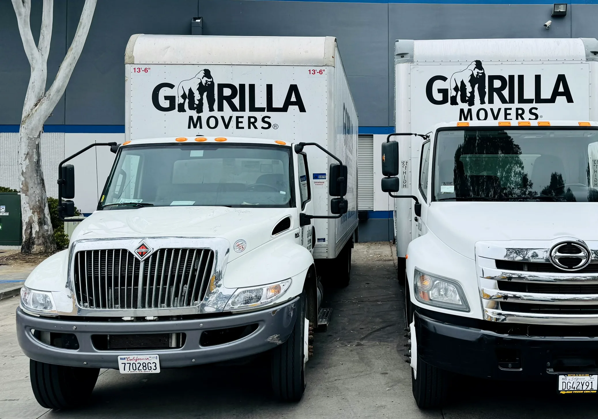 Two Gorilla Movers box trucks staged at the Miramar warehouse for San Diego event deliveries
