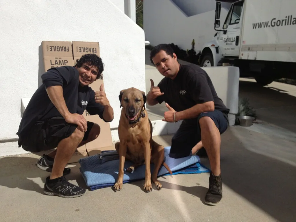 Two Gorilla Movers crew members kneeling with a customer's dog on a San Diego move