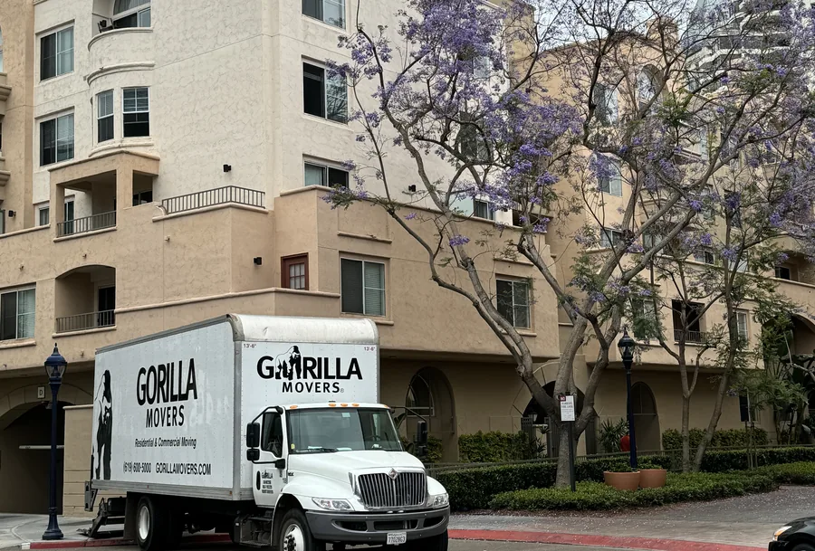 A Gorilla Movers box truck parked at a San Diego condominium building under jacaranda trees