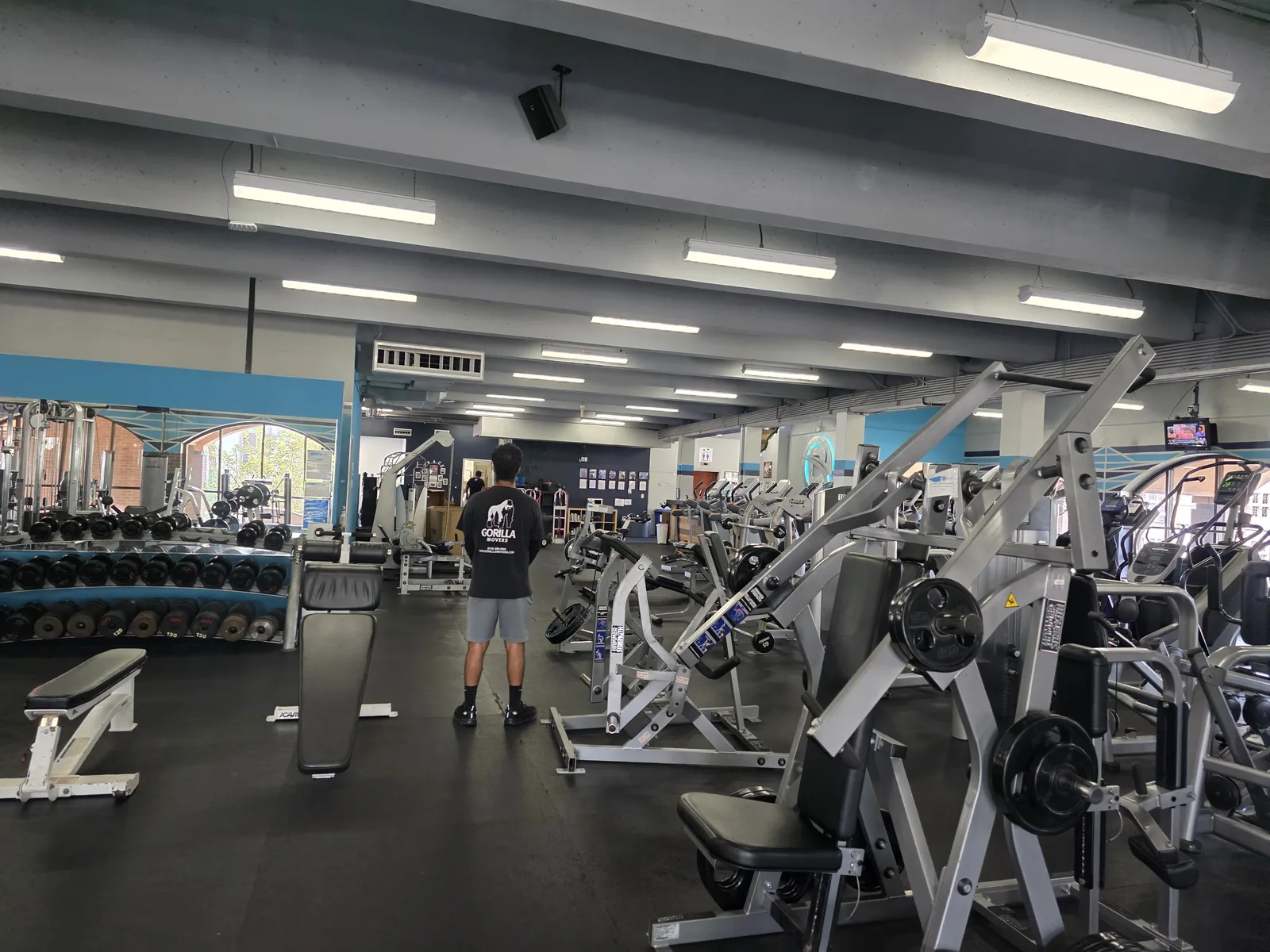 Gorilla Movers crew transporting elliptical machine in La Jolla