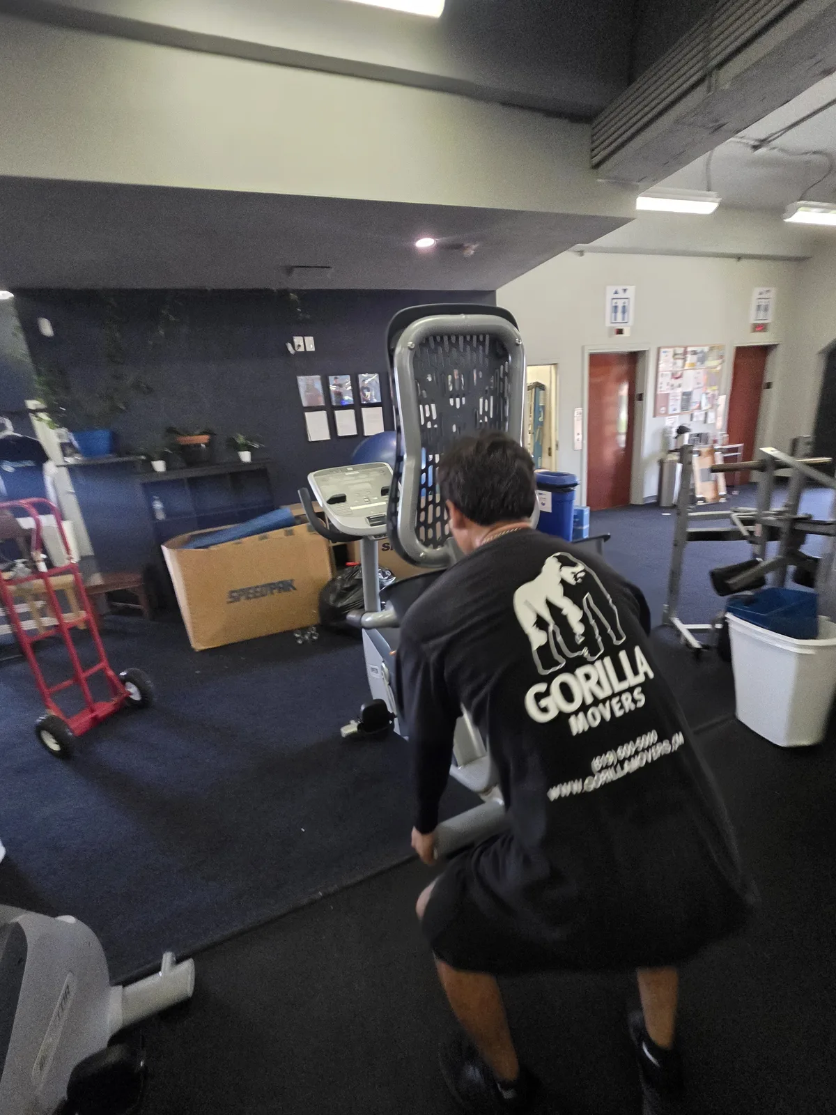 Gorilla Movers crew setting up cardio row at La Jolla facility