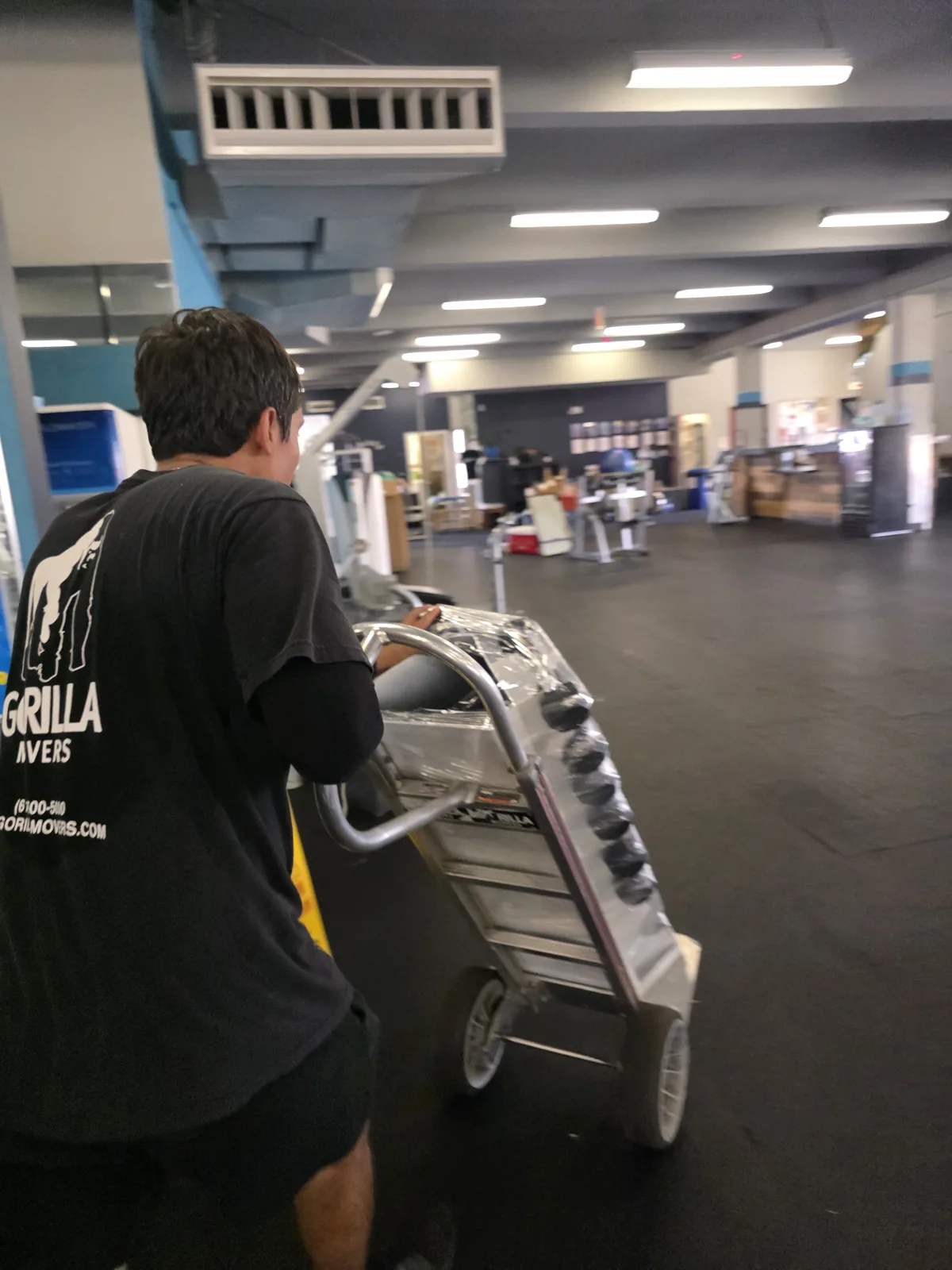 Gorilla Movers team carrying squat rack into La Jolla gym