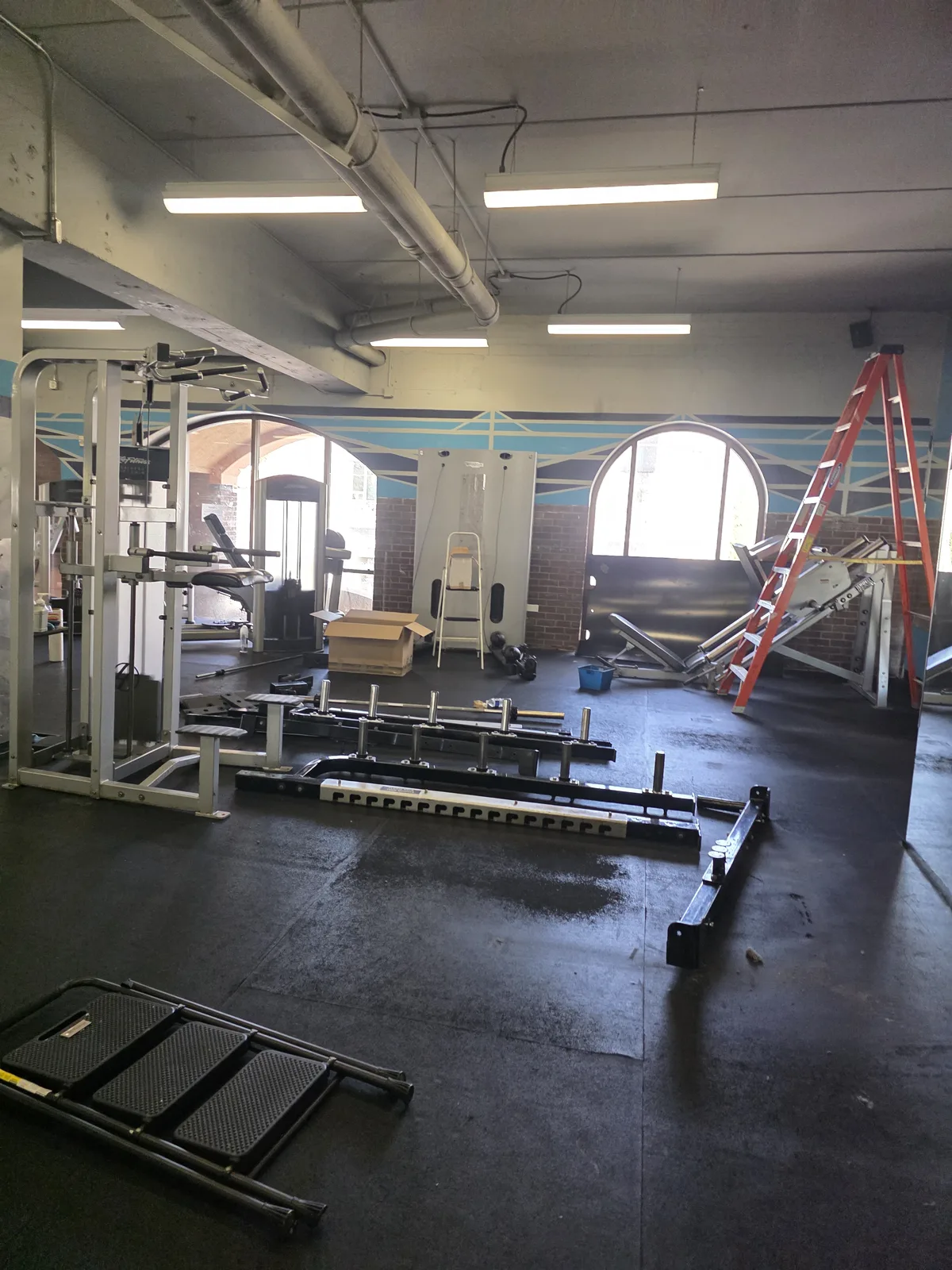 Gorilla Movers crew transporting medicine balls in La Jolla