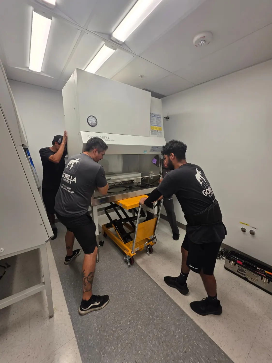 Gorilla Movers crew lowering a SterilGARD biosafety cabinet onto a lift table during a San Diego lab move