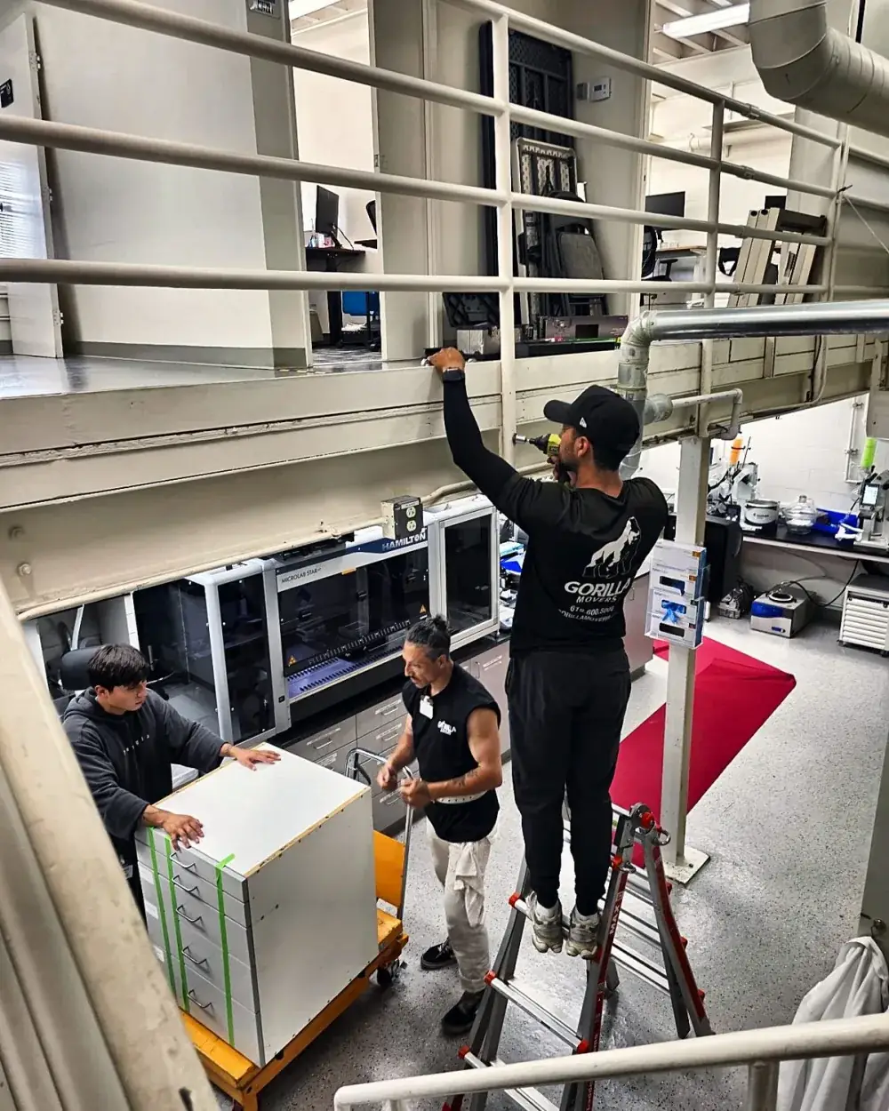 Lab equipment lowered from a mezzanine by commercial movers