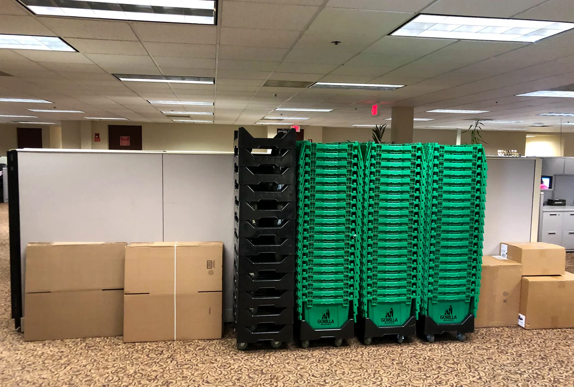 Gorilla Movers crates, dollies, and moving equipment staged for a job