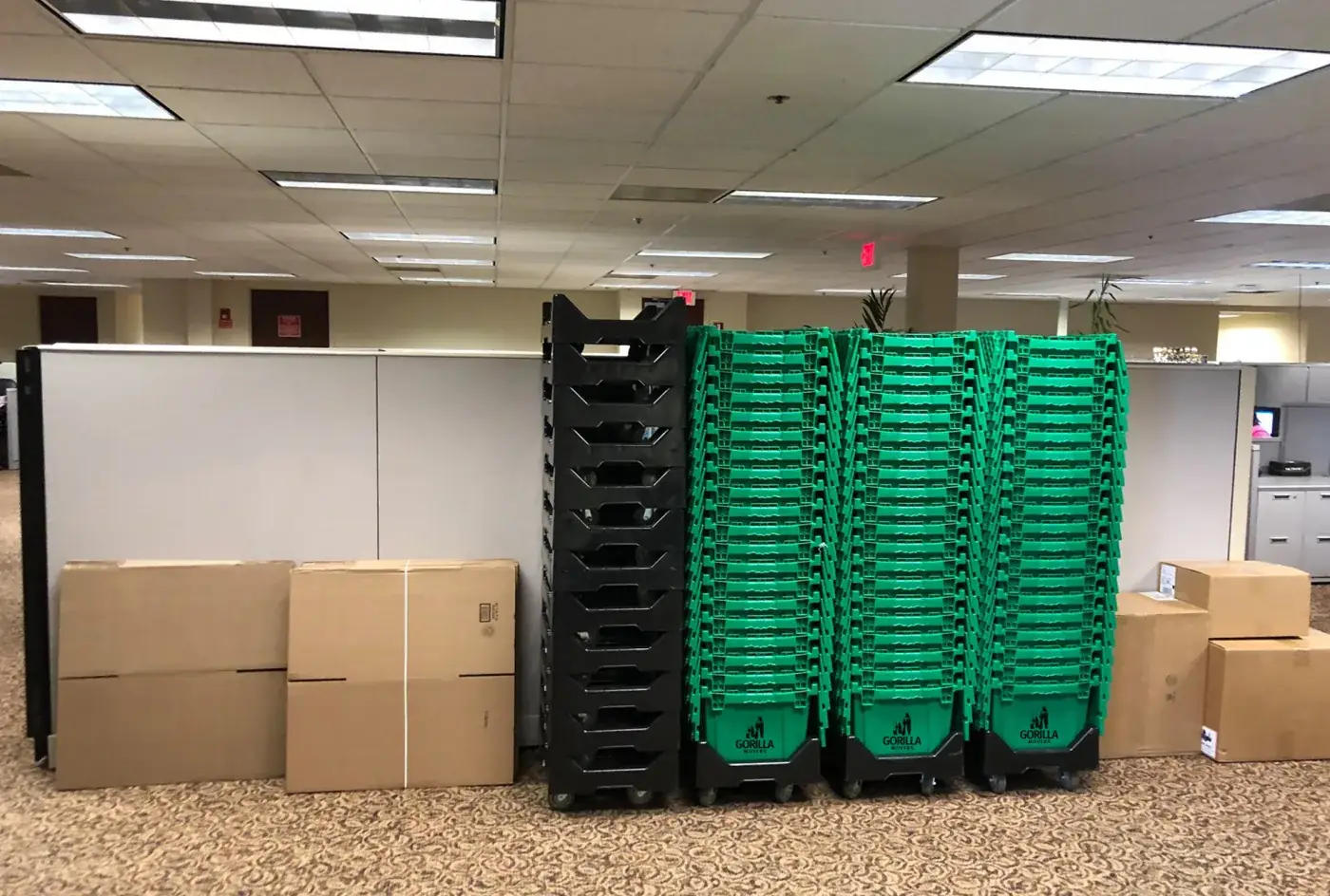Stacks of Gorilla Movers green employee crates and dollies staged in a San Diego office