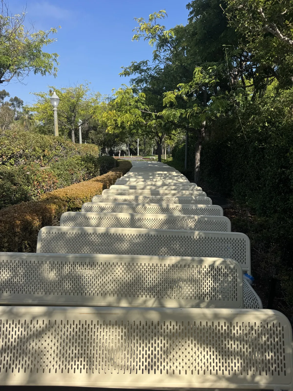 Rows of benches reset in front of the Spreckels Organ Pavilion in Balboa Park