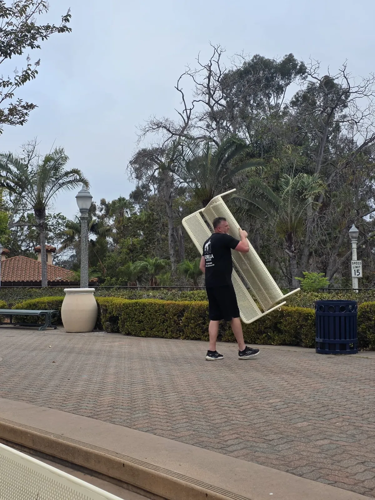 A Gorilla Movers mover carrying a bench at the Spreckels Organ Pavilion