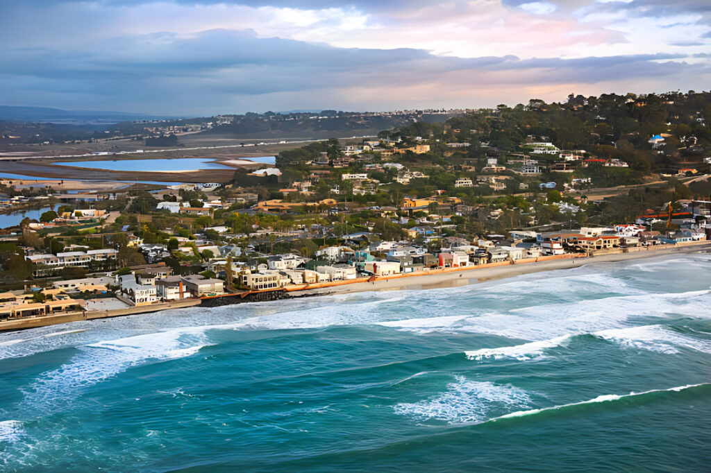 Del Mar’s Business Pulse: Choosing Local Business Movers for Success