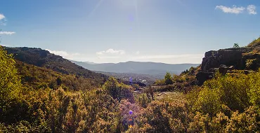 carmel-valley