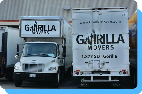 Need a last-minute move- We're here to help