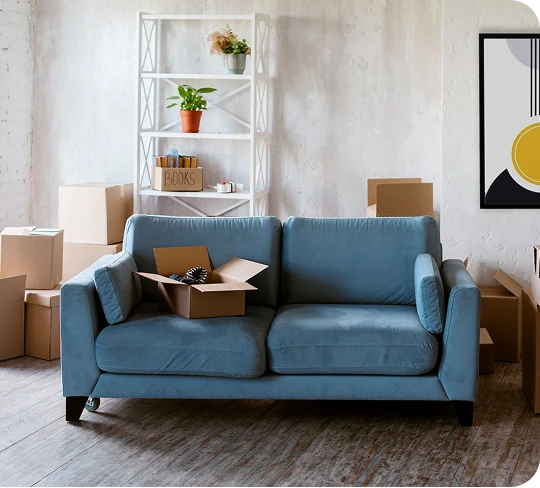 blue sofa