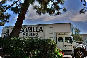 gorilla truck