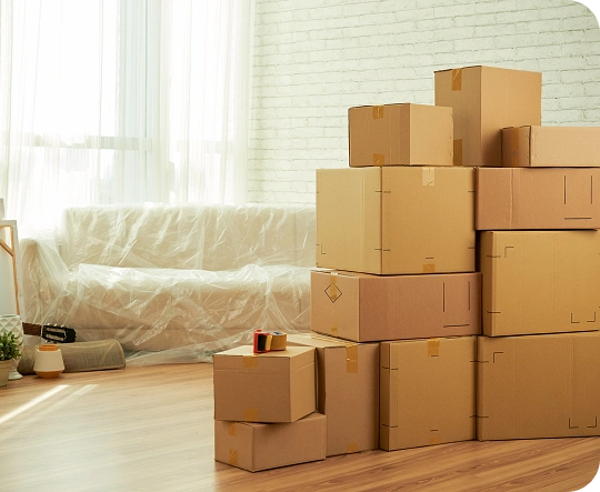 packed packages